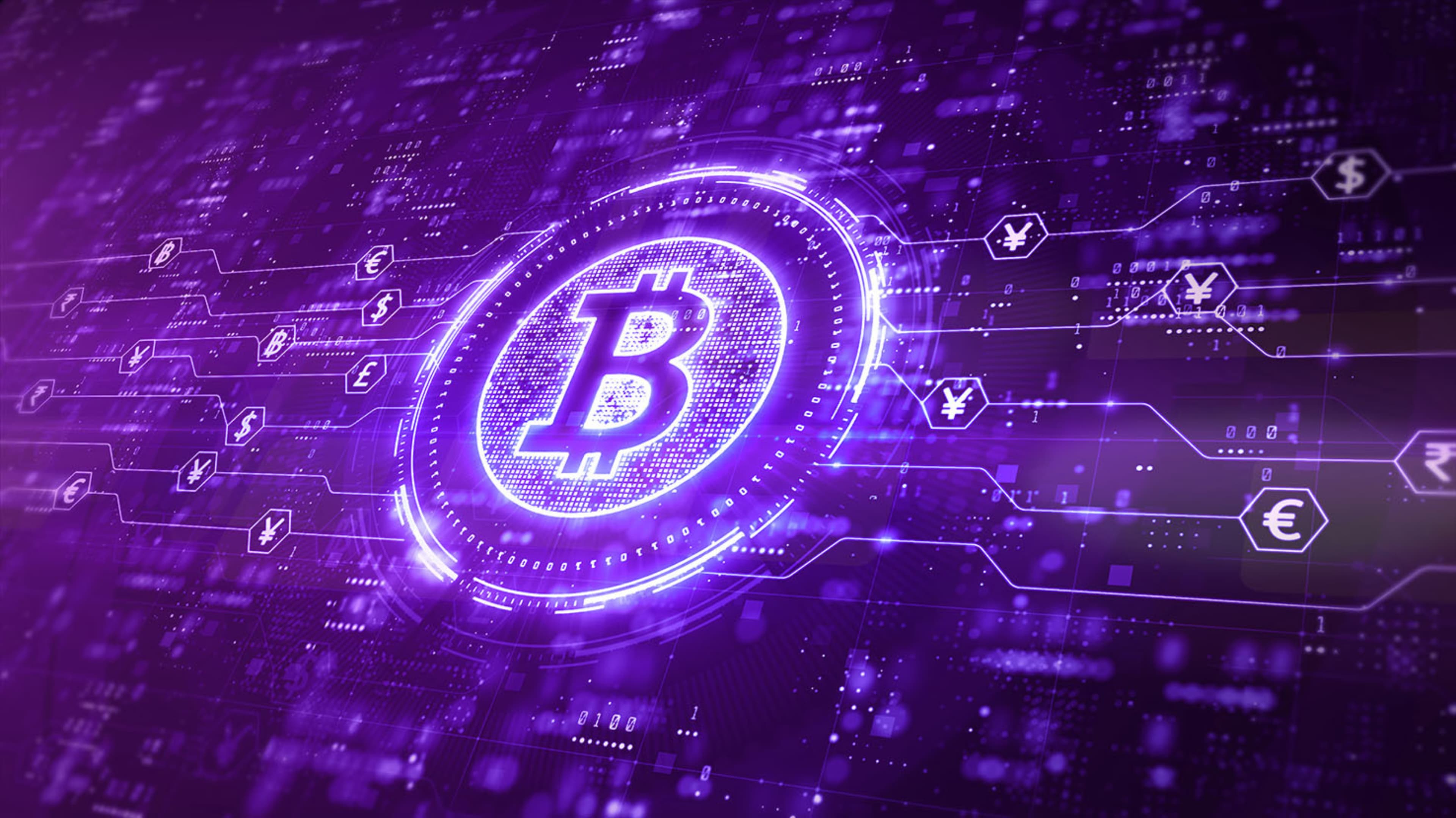 Doing Crypto the Kiwi Way