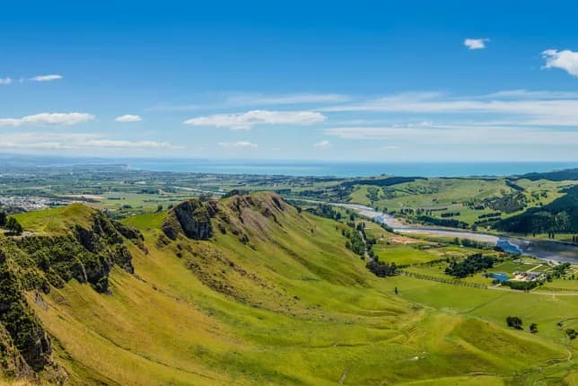 Hawkes Bay Economy On A High