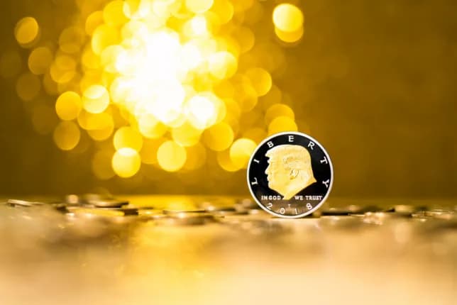 Meme coins