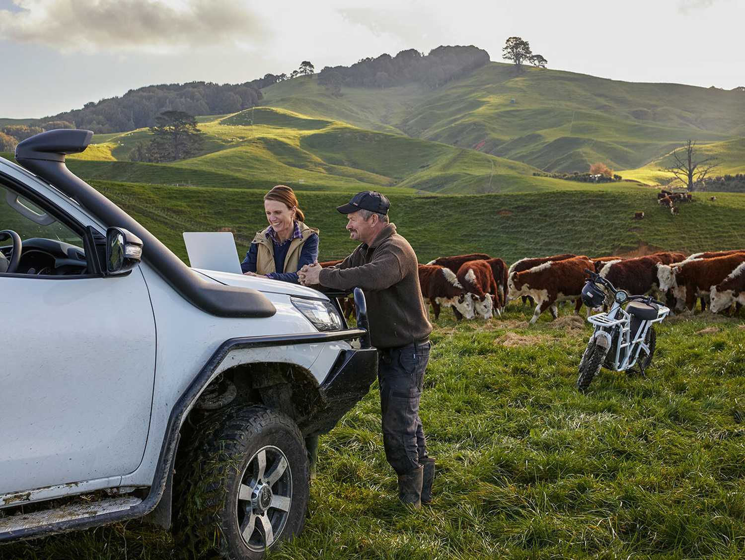 How To Invest In The New Zealand Farming Industry